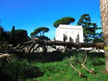 5-IMG_2009