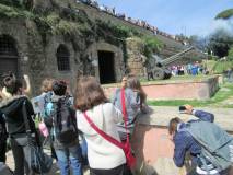 11-IMG_6459