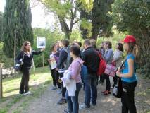 5-IMG_6403