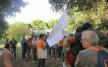 1-IMG_0586