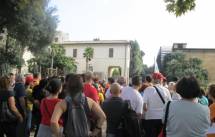 5-IMG_0599