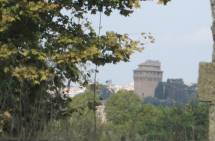 7-IMG_0628