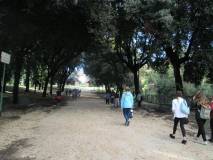 20-IMG_1424