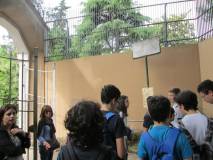 2-IMG_4141.JPG