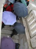 2-img_6237