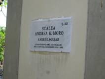 4-IMG_7248