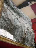 DSCN4149-scritta-del-plastico_r