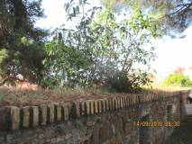 3-IMG_4459