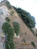 12-IMG_4473_r