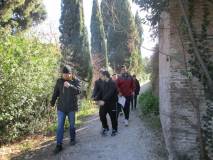 11-IMG_0817