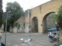 5-IMG_5911