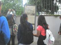 7-IMG_5919