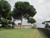 1-IMG_5988