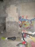 5-IMG_6005