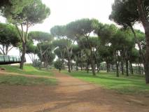 7-IMG_6010