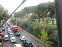 8-IMG_6011