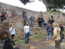11-IMG_6300