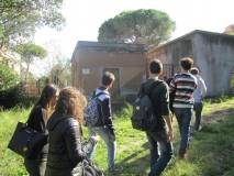 3-IMG_6361
