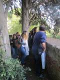 4-IMG_6364