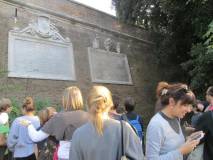 7-IMG_6482