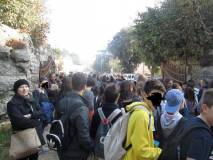 1- IMG_6547