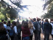 2-IMG_6554