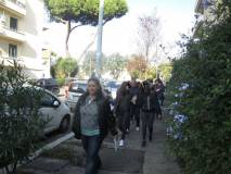 3-IMG_6566