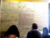 7-IMG_6591