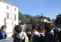 1-IMG_6659