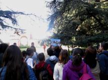 2-IMG_6664