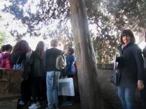 5-IMG_6686