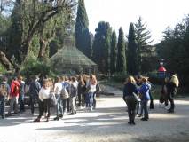 6-IMG_6707