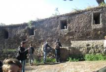 7-IMG_6714