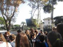 9-IMG_6721