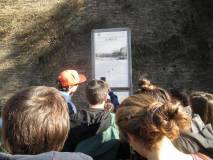 4-IMG_6916