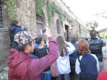 7-IMG_6945