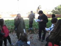 24-IMG_7181