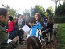 25-IMG_7184