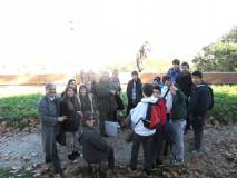 26-IMG_7174