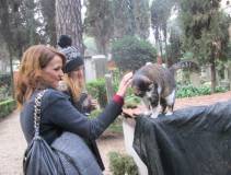 22-IMG_0290