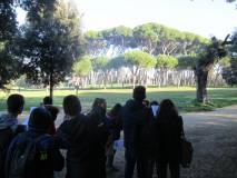 1-IMG_0678