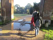2-IMG_0684