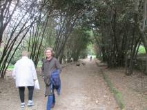2-IMG_0854
