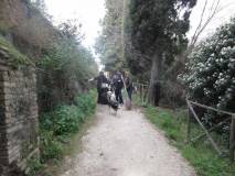 3-IMG_0859