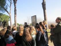 F5-IMG_1136