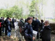 10-IMG_1526