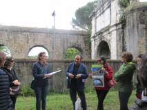 5-IMG_1496