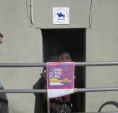 1-IMG_1608