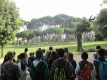 1-IMG_1905