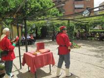 36-IMG_2492